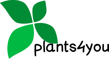 logo company